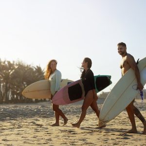 Assinatura Plano Premium